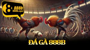 Đá Gà 888B