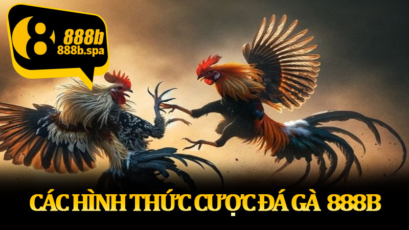 Hình thức cược đá gà linh hoạt cho người chơi