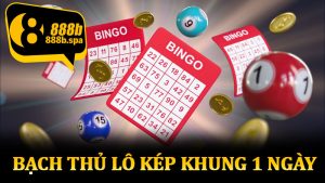 Bạch Thủ Lô Kép Khung 1 Ngày