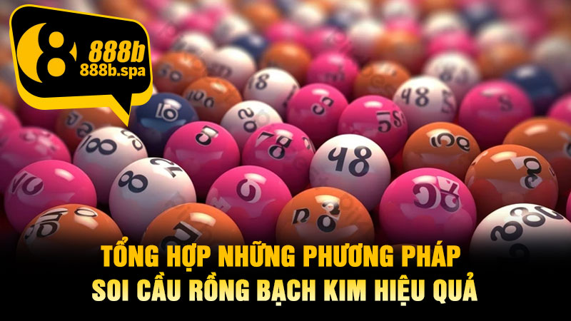 Tổng hợp những phương pháp soi cầu Rồng Bạch Kim hiệu quả