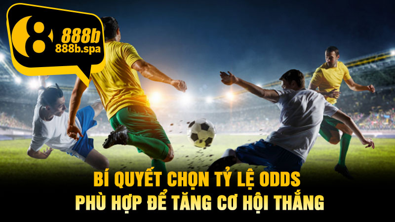 Bí quyết chọn tỷ lệ Odds phù hợp để tăng cơ hội thắng
