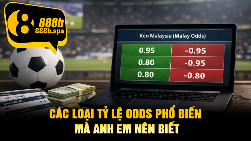 Các loại tỷ lệ Odds phổ biến mà anh em nên biết