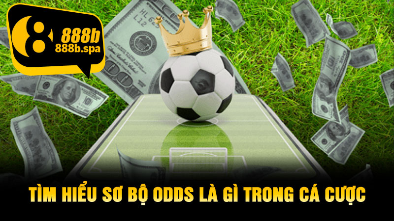 Tìm hiểu sơ bộ Odds là gì trong cá cược