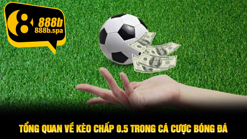 Tổng quan về Kèo Chấp 0.5 trong cá cược bóng đá