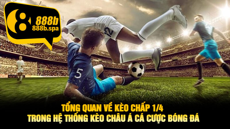 Tổng quan về Kèo Chấp 1/4 trong hệ thống Kèo Châu Á cá cược bóng đá