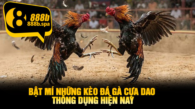 Bật mí những kèo đá gà cựa dao thông dụng hiện nay