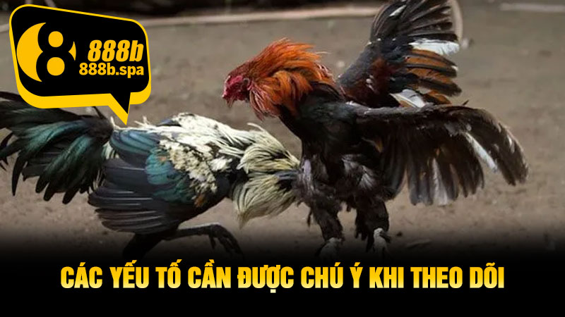 Các yếu tố cần được chú ý khi theo dõi