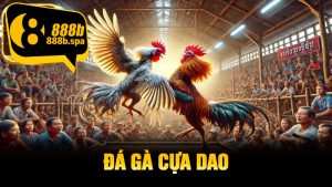 Đá Gà Cựa Dao