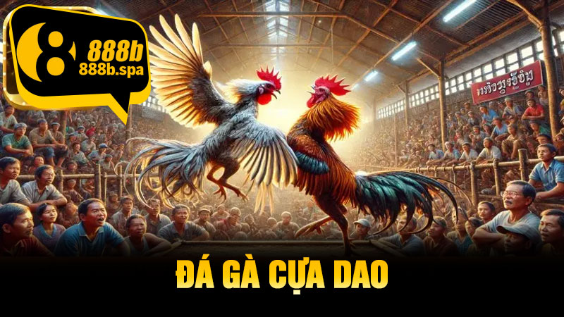Đá Gà Cựa Dao