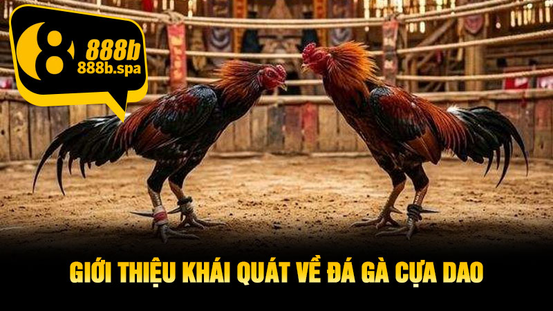 Giới thiệu khái quát về đá gà cựa dao