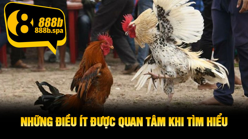 Những điều ít được quan tâm khi tìm hiểu
