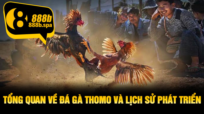 Tổng quan về đá gà Thomo và lịch sử phát triển